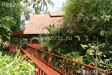 Coconut Grove 29